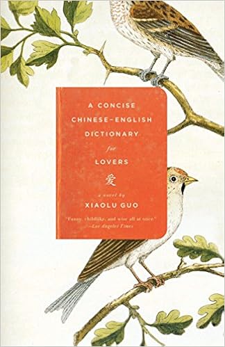 A Concise Chinese-English Dictionary for Lovers book cover