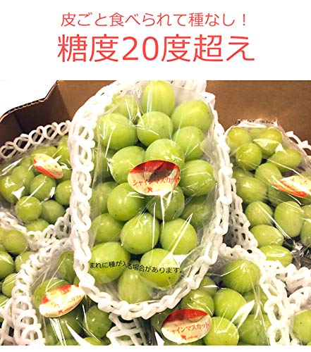 808青果店 シャインマスカット 約1kg の商品画像 1