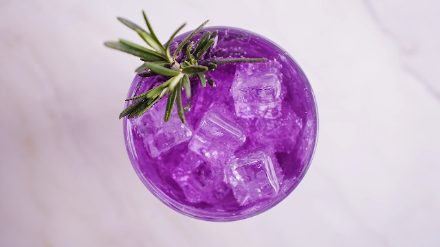 Böser Kater Two Faced Gin mit Farbwechsel 0,5l - Ändert bei Zugabe von Tonic Water die Farbe - Handgemacht & Small Batch… – Bild 3