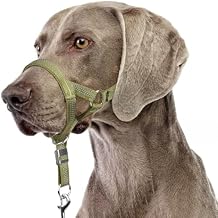 BARKLESS Sturdy No Pull Head Collar for Medium Large Dogs, Gentle Reflective Head Halter with Safety Link, Adjustable Nylon Dog Training Muzzle Leash for Walking Control Green, XL