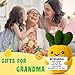 MAMAGIFTREE Grandma Christmas Birthday Gifts from Grandkids Granddaughter Grandson Handmade Cute Pineapple Plush Presents for Nana Gigi Granny Grandmother