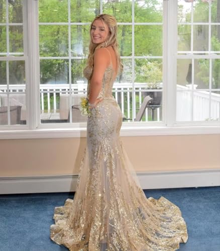 RYANTH Sparkly Sequin Mermaid Prom Dresses for Women 2025 Lace Applique V Neck Corset Formal Evening Dress with Train RDX-P364