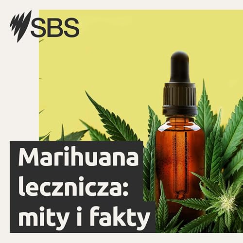 Odcinek czwarty: Zainteresowanie medyczną marihuaną rośnie...