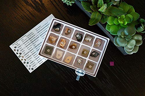 Image of STEM Toy Rock Science Kit Geology Mineral Specimen For Kid Geologists