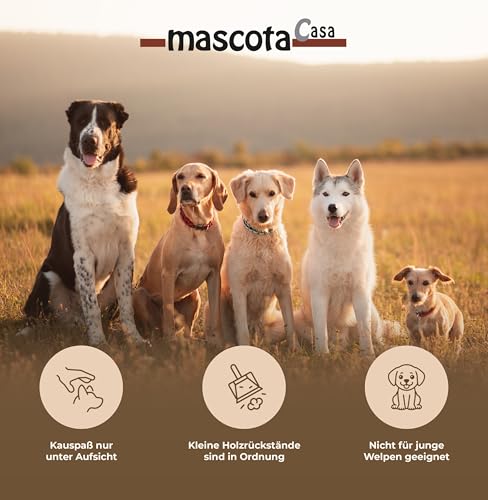 mascota casa - Natürliche Hundeseil Spielzeug aus 100% Kokosfaser – Nachhaltiges Kauspielzeug, Zahnpflege-Support beim Zahnwechsel, Robustes und Umweltfreundliches Hundespielzeug (Coco Ball, Large)