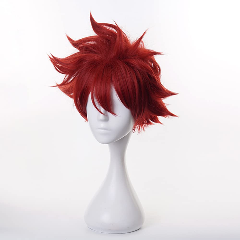 Dark Red Short Wig for Anime Straight Heat Resistan Synthetic Costume Hairs for Women Men Halloween Cos Anime Party Replacement Wigs - Image 3