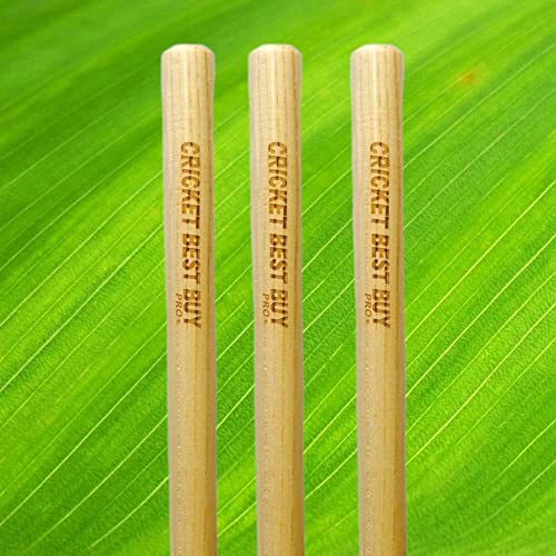 Bratla Cricket Wickets With Bails - Natural Color Portable Cricket Wickets Wood, Set Of 3 Stumps For Cricket With 2 Bails, Cricket Wicket #TOP5