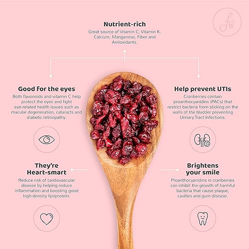 Image of Flyberry Gourmet Classic Cranberries Slice (Apple Juice Infused) 100 g (100)