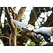 IMOTECHOM 8.2 Inches Folding Saw, 210MM Foldable Pruning Saw with 600D Carry Bag