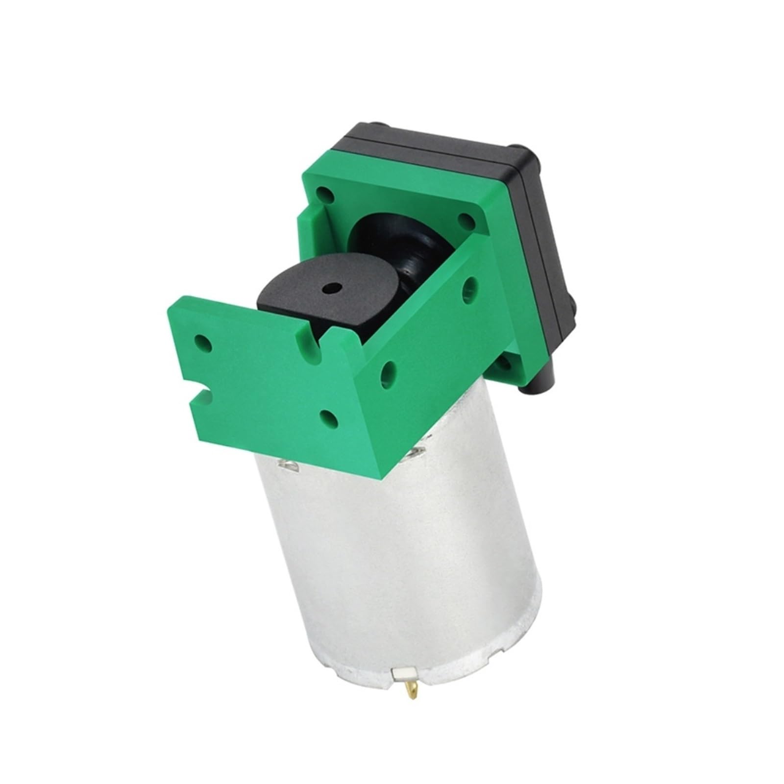 DEBLAN Micro Bomba de vacío con Cepillo de 6v, Bomba de Aire pequeña de muestreo de 12v, Bomba de presión Negativa de 24v(12V)