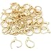 Gofypel Earwire Leverback Earring Hook Leverback Earwire Gold Plated French Earring with 50pcs