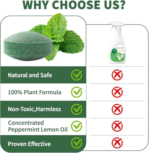 Image of Rat Repellent Rodent, Mouse, Rats, Spider, Squirrel, Pest Control Indoor & Outdoor, Natural Mouse Deterrent Replace Traps Car Home Pack of 1 (10 Tablet) Repel Mice and Rats Protect Wires in Car, No Kill Only Repels Home Garden Patio Garage Rat Controller Pills to Keep Rodents Out of Car (10-boll)