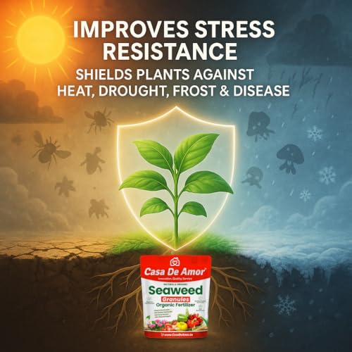 Image of Casa De Amor Seaweed Granules Organic Plant Food, Plant Growth Promoter, Suitable For All Types of Plants (900 gm)