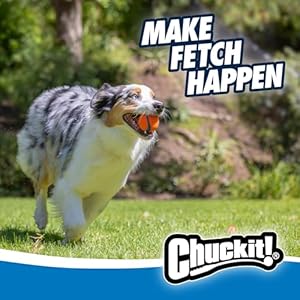 Chuckitdogballsinteractivedogtoyshighbouncefetchballfloatingultraandruggedballsdurablesizemedium25inchdiametersetof3 Urban Country Home Decor Chuckit dog balls interactive dog toys high bounce fetch ball floating ultra and rugged balls durable size medium 25 inch diameter set of 3 urban country home decor