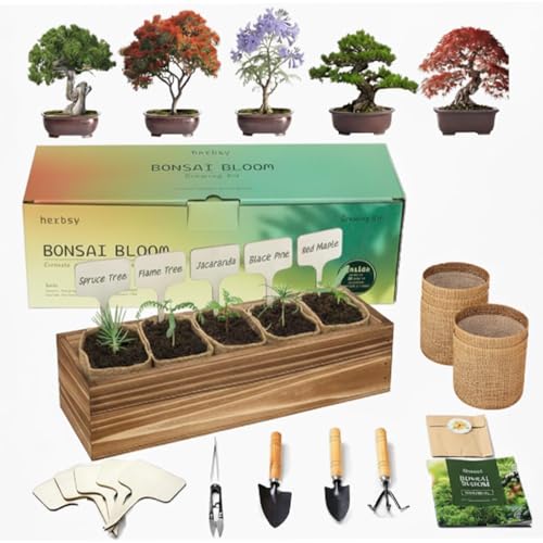 5 Pack Bonsai Tree Kit with Complete Tools, 5X Unique Seeds Bonzai Tree Kits, Indoor Bonsai Starter Kit with Wooden Box, Perfect Christmas Garden Gift for Mom, Men, Women, Plant Lover