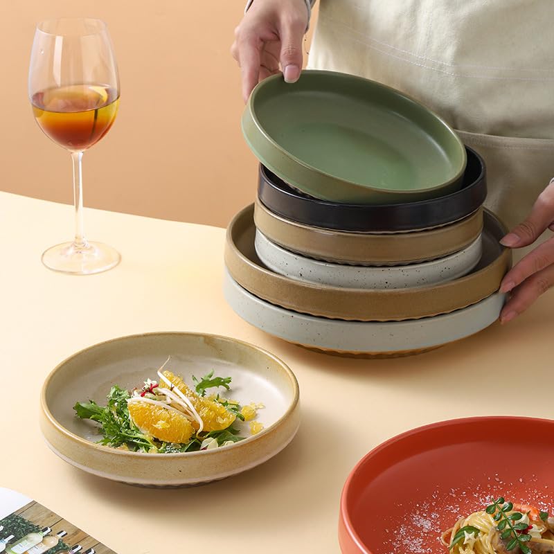 Japanischer Teller aus Steingut, 25,9 cm, für Frühstück, Nudelsalat, elegantes Design, perfekt für Zuhause oder Restaurant, schwarzes Finish