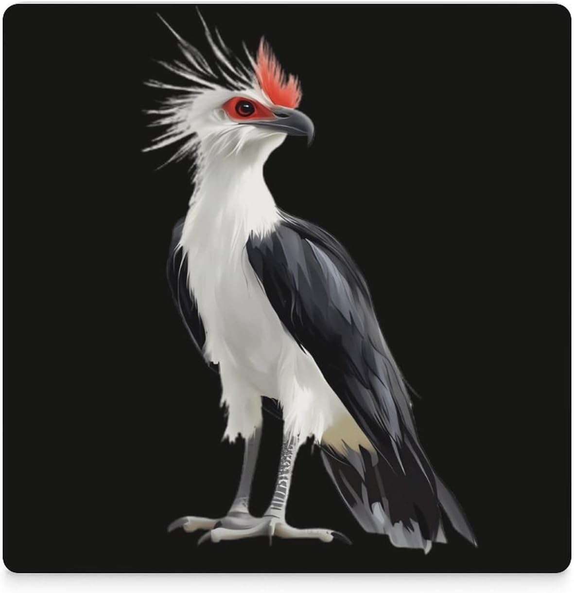 Secretary Bird Funny Ceramic Coasters for Drinks Absorbent Cup Holder Tabletop Protector with Cork Base