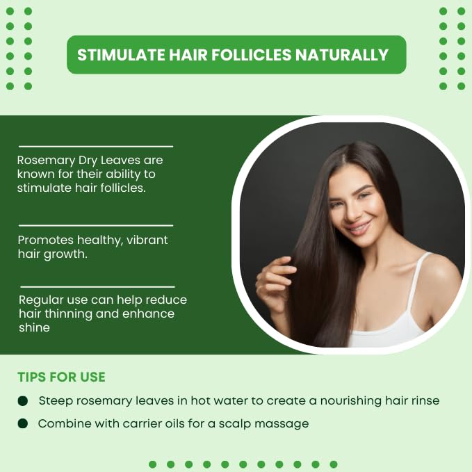 Image of Jaivik Uttarakhand - Green Leaves Tea, Rosemary Tea (100g each), Unique Blend Crafted Loose Leaf For Chai Lovers Across India, Combo (Pack Of 2)