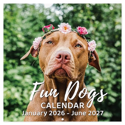 18-Month Funny Dog Wall Calendar