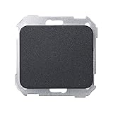Muy conveniente Simon - 75800-38 placa ciega s-75 grafito Ref. 6557538256