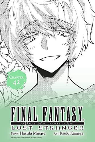 Final Fantasy Lost Stranger #42 Image