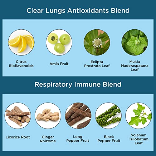 Organic Veda Lung Cleanse Respiratory Immune Support - Natural Lung Support Supplement - Amla Fruit, Organic Herb Blend For Bronchial Wellness, Clear Nasal Passages - 120 Caps, 2600Mg #TOP3
