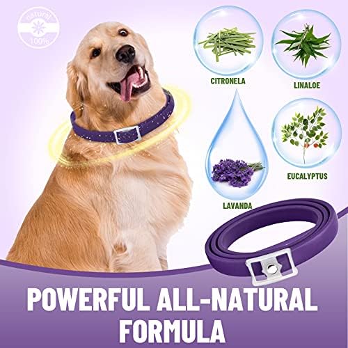 Dogs Flea and Tick Collar, 8 Months Protection Natural Flea Treatment for Dogs, Adjustable Flea and Tick Control for Puppy Dogs