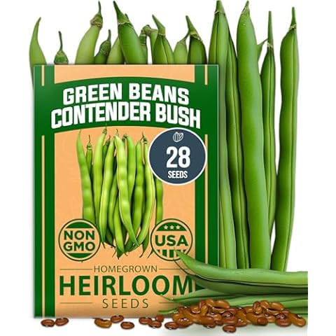 HOME GROWN Contender Bush Beans Cover