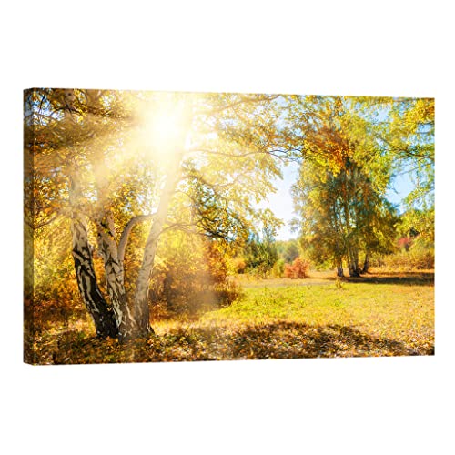 Tableau nature lumineux pour chasser l'obscurité murale 80 x 120 cm