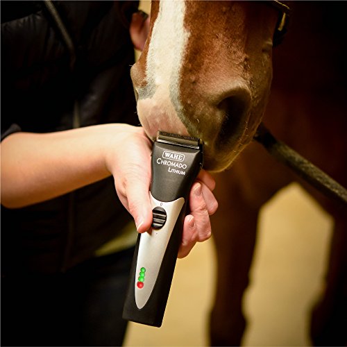 WAHL Professional Animal Chromado Lithium Pet, Dog, Cat, & Horse Corded/Cordless Clipper Kit, Black & Silver (#41871… - Image 6