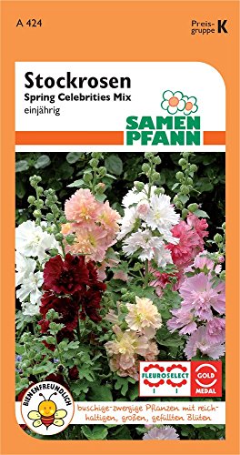Samen Pfann A424 Stockrose Spring Celebrities Mix (Stockrosensamen)