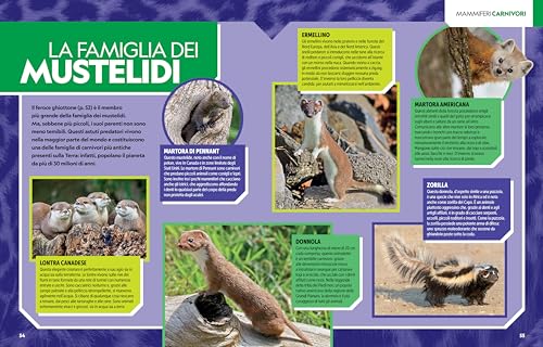 La Grande Enciclopedia Dei Mammiferi. Il Più Completo Manuale Sui Mammiferi Mai Realizzato. Ediz. A Colori - 9