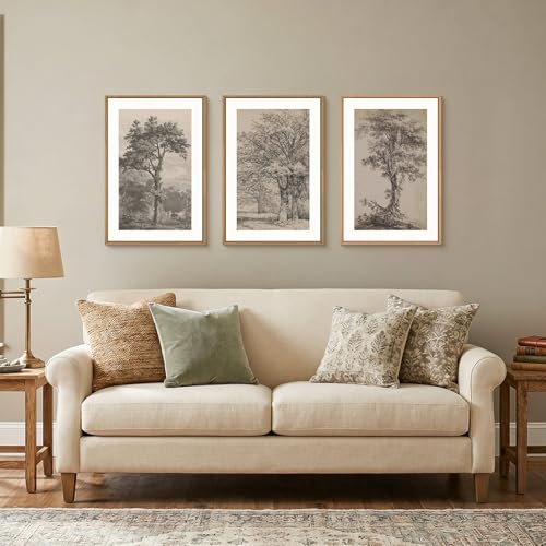Image of KAIRNE Vintage Tree Sketch Framed Canvas Wall Art Set, Antique Tree Drawings Wall Decor, Retro Forest Art Prints, Modern Nature Landscape Artwork for Living Room, Bedroom, Farmhouse, Office-16 x24 x3