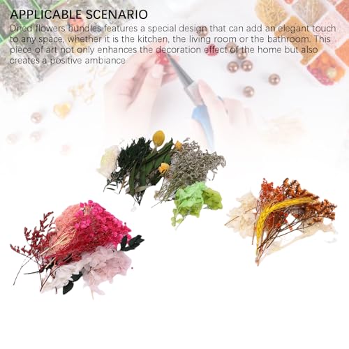3 cajas de flores secas para manualidades miniatura 5