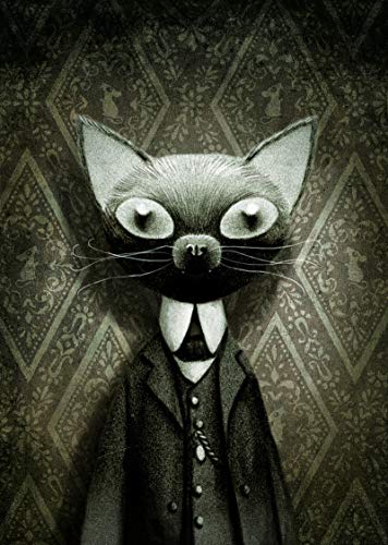Le carnet de notes chat, de benjamin lacombe view 2