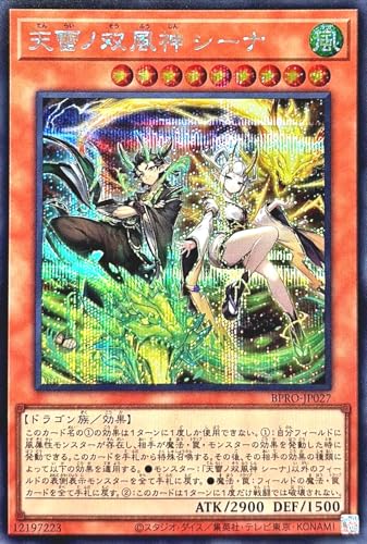 BPRO-JP027 �V���m�o���_ �V�[�i �V�[�N���b�g���A �V�N �o�[�X�g�E�v���g�R�� BURST PROTOCOL