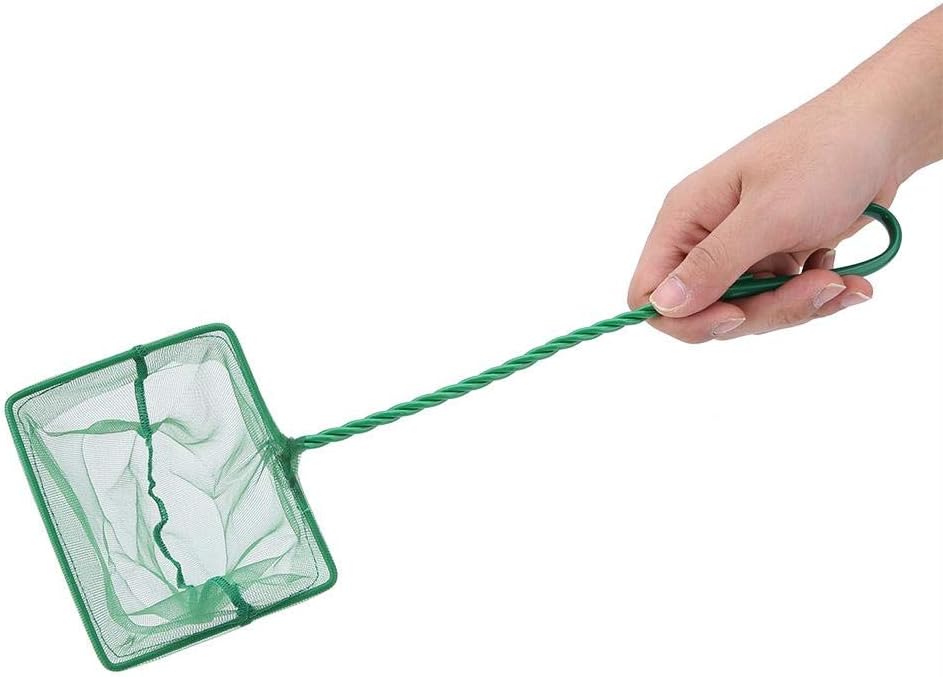 Fishing Landing Net, Portable Catch and Release Fish Net Fish Skimming Net Goldfish Net Floating Debris Clean Tools for Aquarium Fishbowl Fish (6 inch)