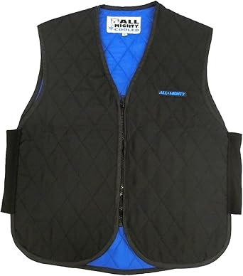 might COOL VEST 2着セット might COOL VEST 2着セット 511rrntIEpL._AC_SX342_.jpg
