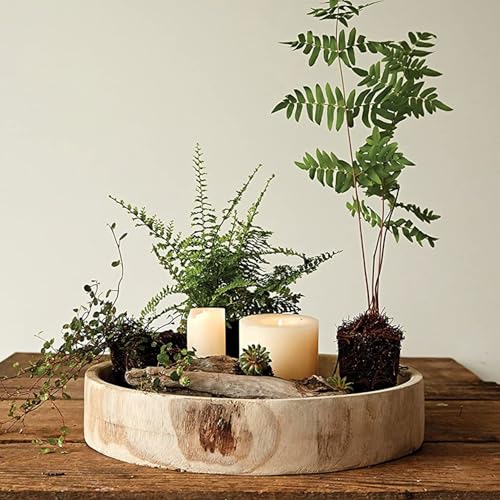 Plateau de table basse de style naturel pour salon chic - 4