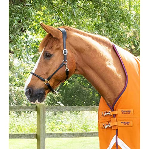 Couverture d'extérieur Buster Hardy Premier Equine haut de gamme 200g - 3