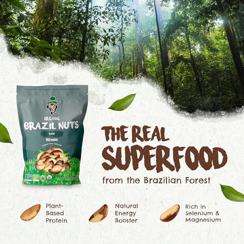 Image of Snack The True Organic Brazil Nuts 7 oz - Raw and Unsalted - Kosher - Healthy-Rich in Vegetable Protein - Harvested in Amazon Rainforest - Fresh, Vegan and Gluten Free - Forest Up