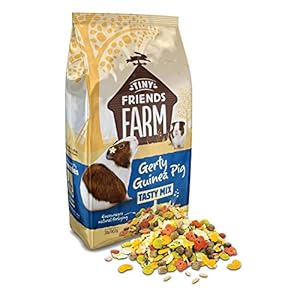 Supreme Tiny Friends Farm Gerty Guinea Pig Tasty Mix Apple Strawberry 2lbs
