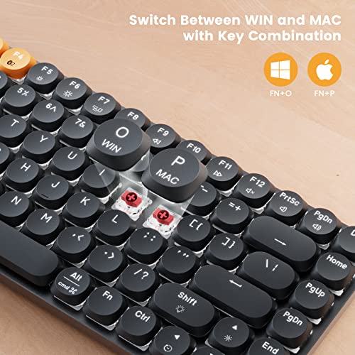 Protoarc Wireless Mechanical Keyboard, Mech K301 Office Keyboard, 75% Percent Tactile Quiet Keyboard With Backlit, Triple-Mode 2.4G/Usb-C/Bluetooth Keyboard For Pc Mac Windows Ipad 84 Keys #TOP4