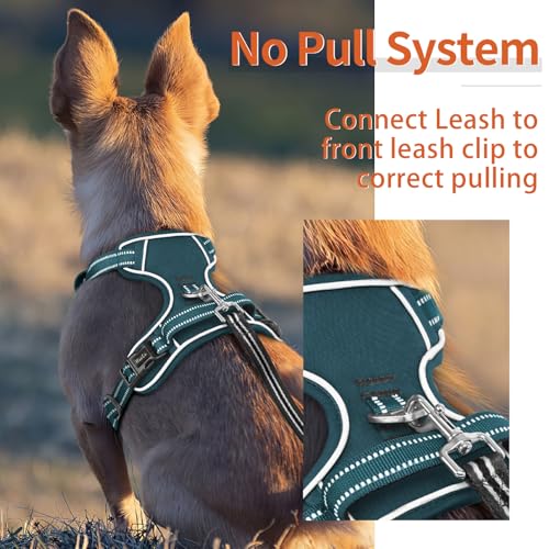 Image of HEELE Dog Harness for Large Dogs No Pull Dog Vest Harness for Large Dog with Soft Padded Handle Reflective for Outdoor Training, Blackish Green, L