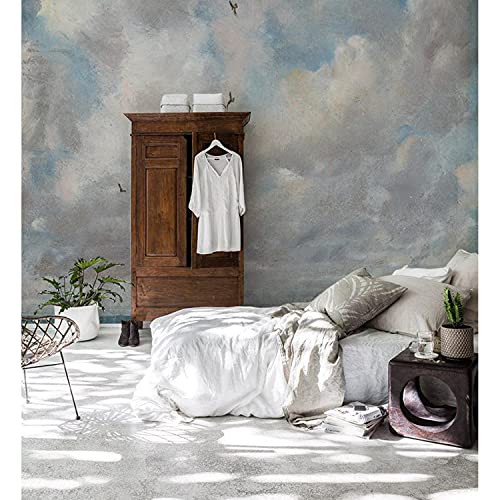 Papier peint grand format ciel nuageux pour masquer les murs ternes
