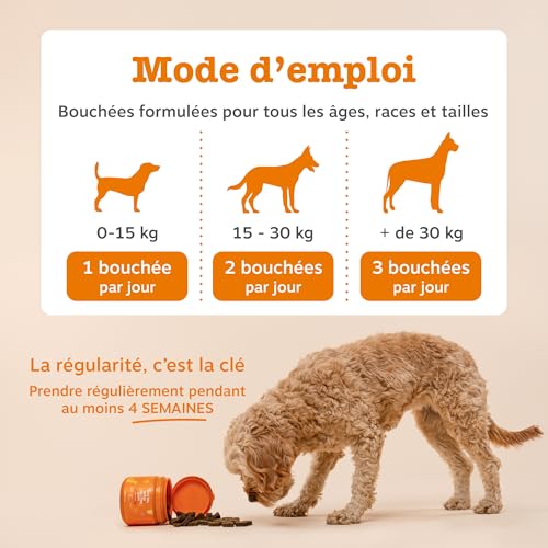 Zesty Paws Bouchées Probiotiques Chien | 90 Bouchées – vue 7