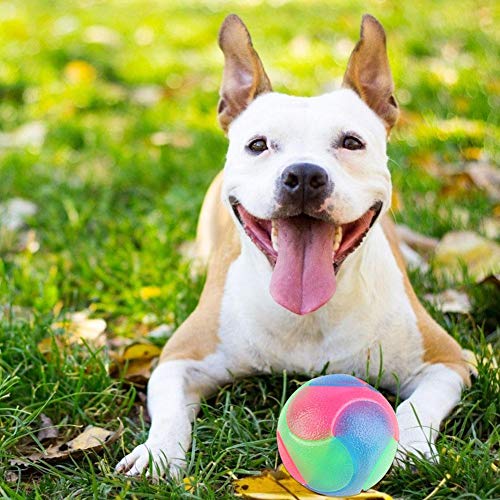 WinnerEco-US Bolas de cachorro com elástico piscando bola interativa escura para animais de estimaçã