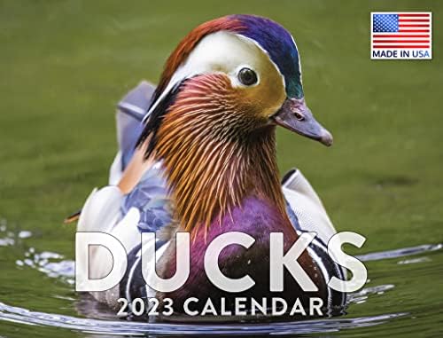 amazon-com-duck-calendar-2023-monthly-wall-hanging-calendars-waterfowl-mallard-nature-wildlife-birds-bird-watching-large-planner-24-months-full-2023-write-on-grid-plus-bonus-2024-preview-chart-made-in-usa-office-products