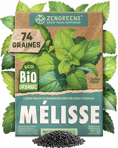 ZenGreens® – Graines de mélisse citronelle bio - Graines d'herbes aromatiques à cultiver facilement au jardin, sur le balcon ou en cuisine – parfaites pour débutants