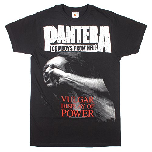 PANTERA Tシャツ 93 L VULGAR Hanes Winter PANTERA Tシャツ 93 L VULGAR Hanes Winter